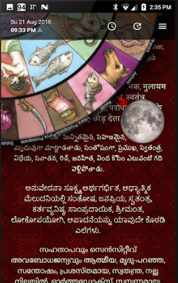 Vedic Astrology Nakshatra Finder Screenshot3