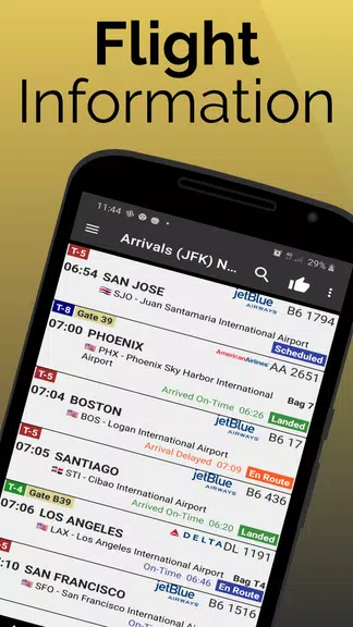 Paris Orly Airport Flight Info Screenshot1