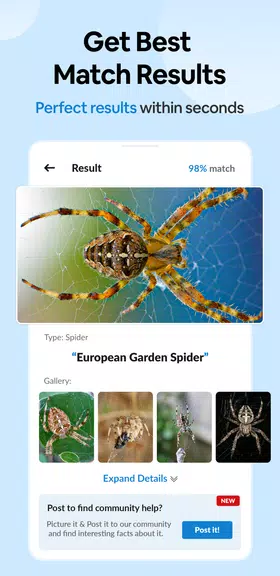 Insect Spider & Bug identifier Screenshot2