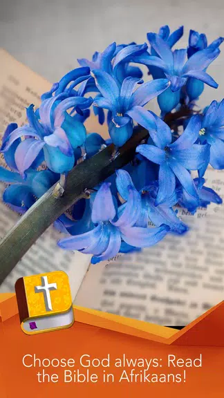 Afrikaans Bible offline audio Screenshot1