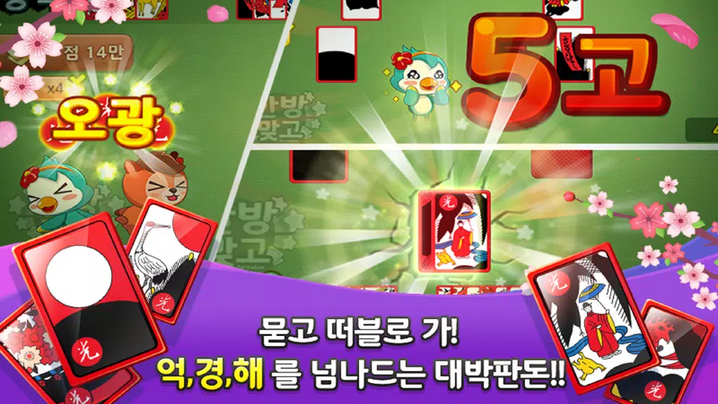 한방맞고: 인생 한방 고스톱 Screenshot4