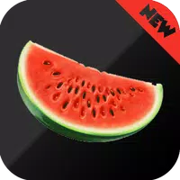 Melon VPN Free Apk