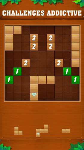 Tetrudoku : Block Puzzle Screenshot4