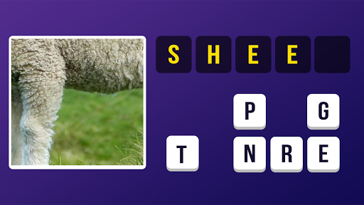 Zoom Pic: Close Up Pic Quiz Screenshot3