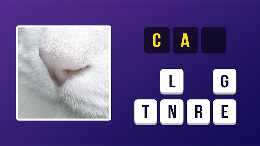 Zoom Pic: Close Up Pic Quiz Screenshot1