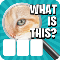 Zoom Pic: Close Up Pic Quiz Apk