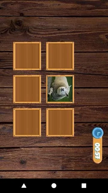 Match The Pairs by KOCAK development Screenshot3