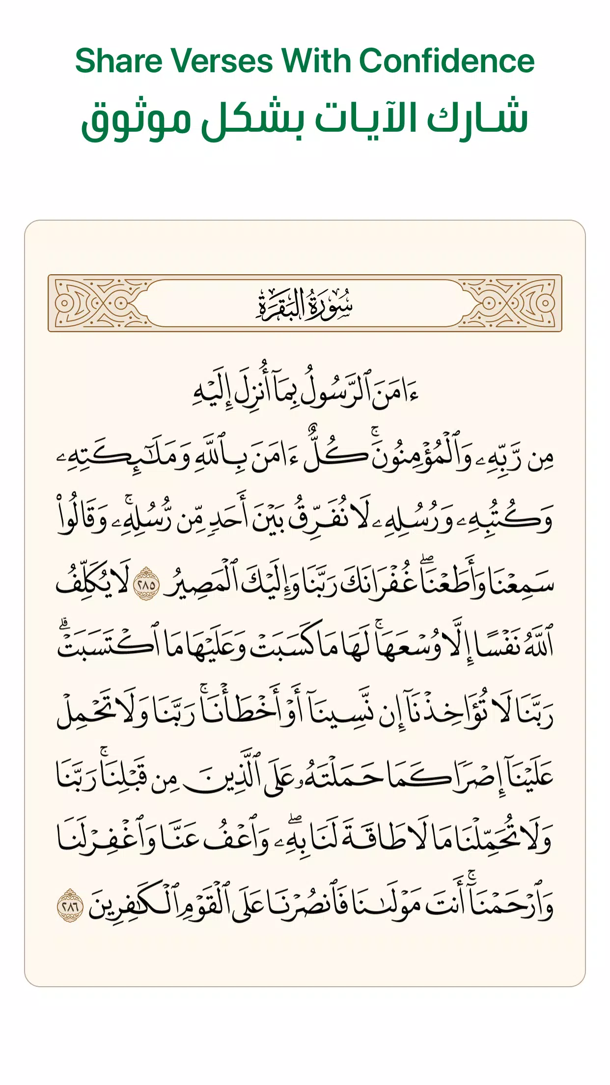 Ayah Quran App Screenshot4