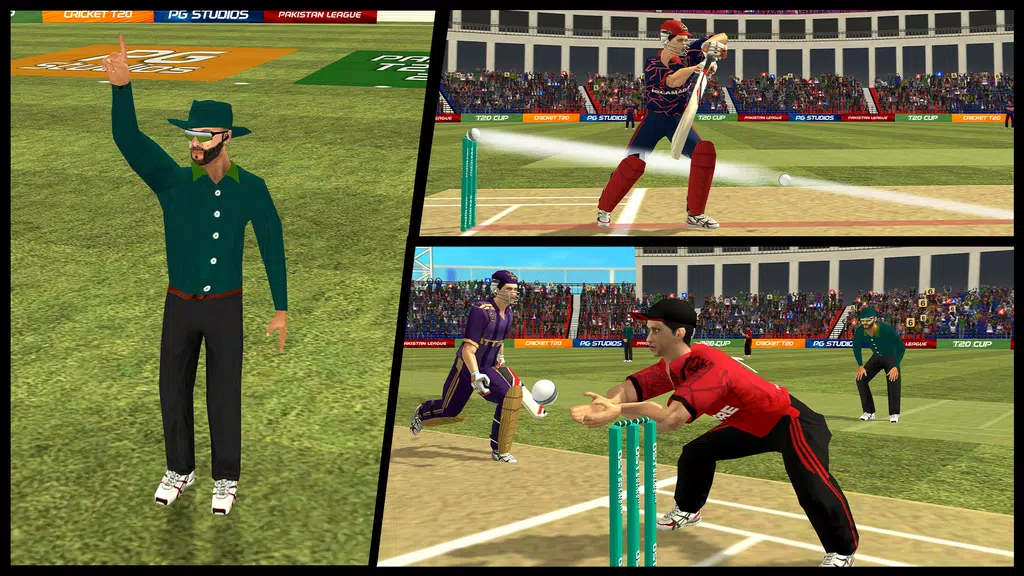 Cricket Game: Pakistan T20 Cup Screenshot3