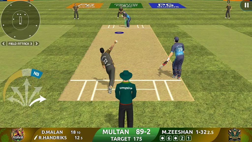 Cricket Game: Pakistan T20 Cup Screenshot2