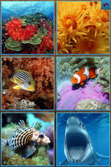 Sea Life Jigsaw Puzzles Screenshot1