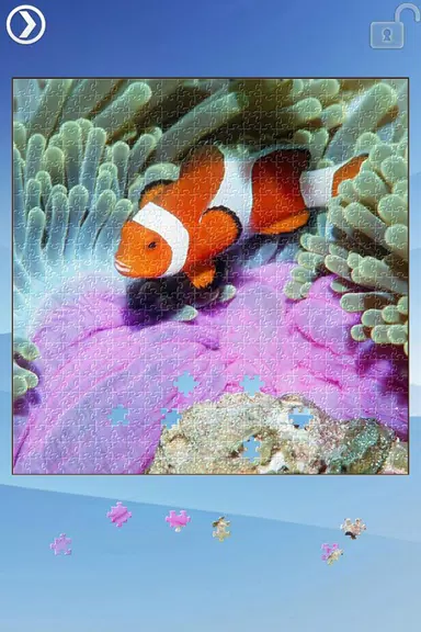 Sea Life Jigsaw Puzzles Screenshot3