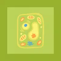 Cytology Apk