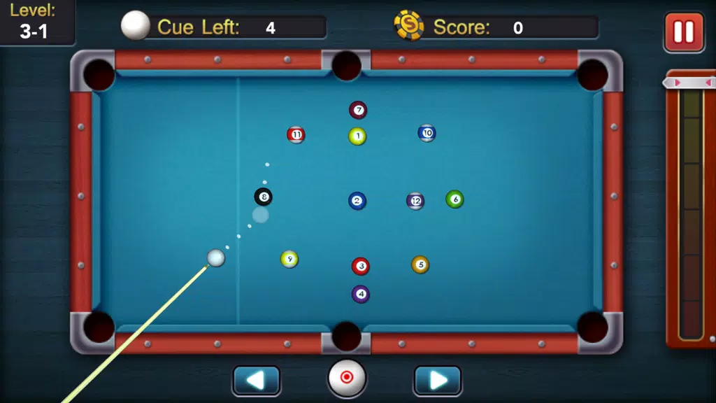 Pool King 3D Screenshot1