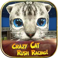 Crazy Cat Rush Racing APK