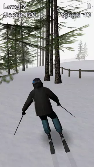 Alpine Ski III Screenshot1