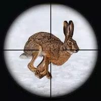 Rabbit Hunting Sniper Shooting Apk