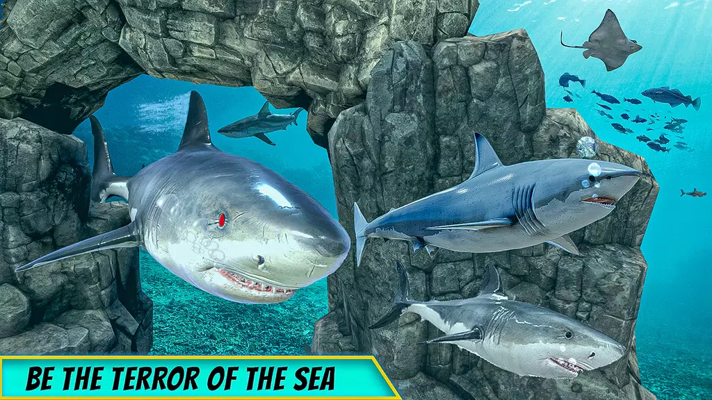Big Shark Vs Small Sharks Screenshot1