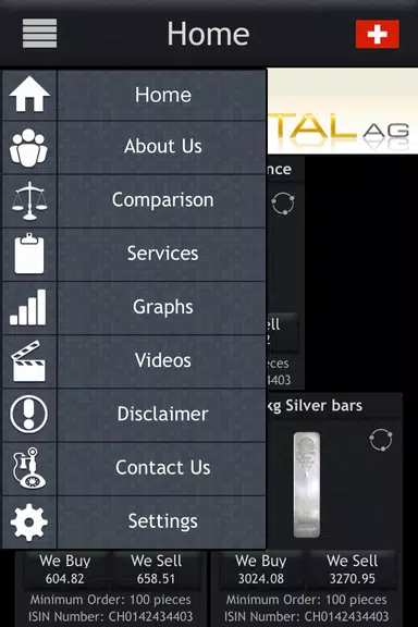 Silver Coin Screenshot2