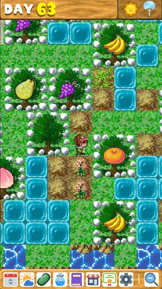 Wonderful Island Screenshot2