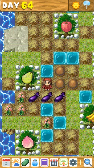 Wonderful Island Screenshot1