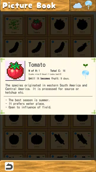 Wonderful Island Screenshot4