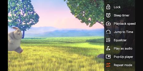 VLC for Android Screenshot7