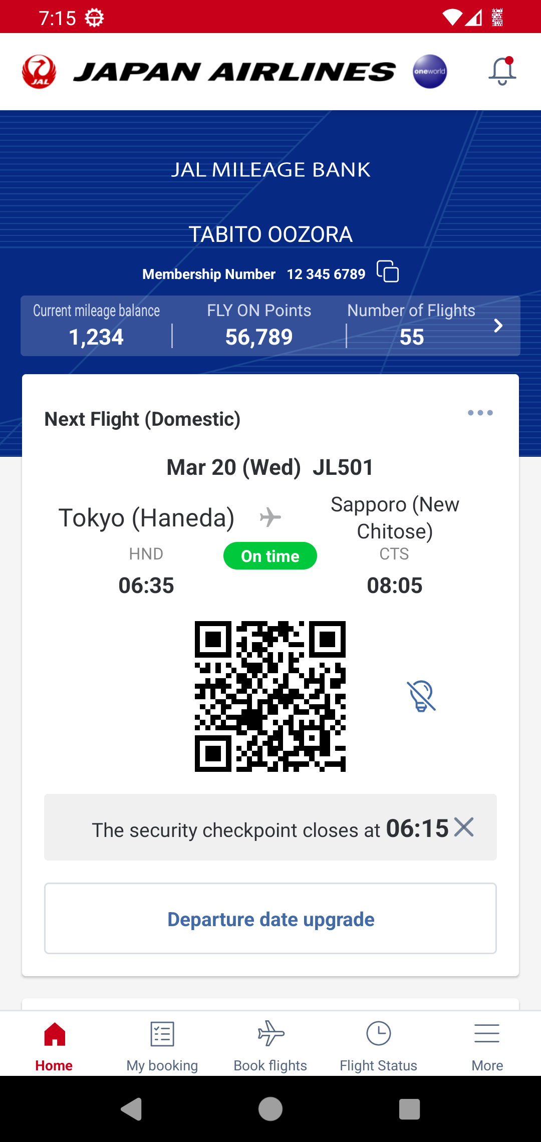 Japan Airlines Screenshot1