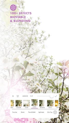 A Color Story Screenshot3