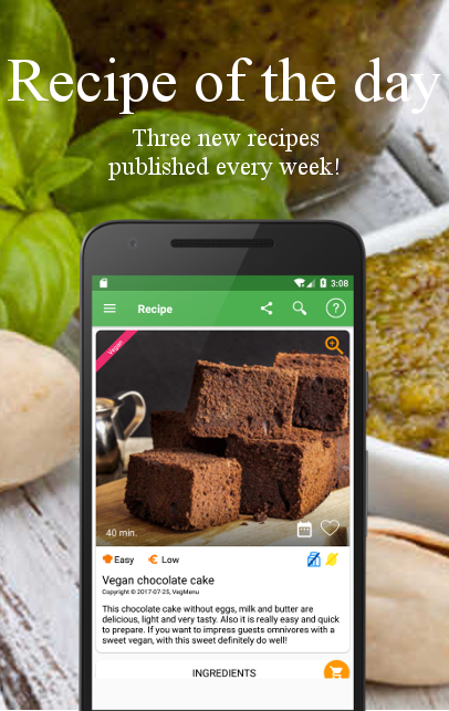 Vegetarian and vegan recipes Screenshot7