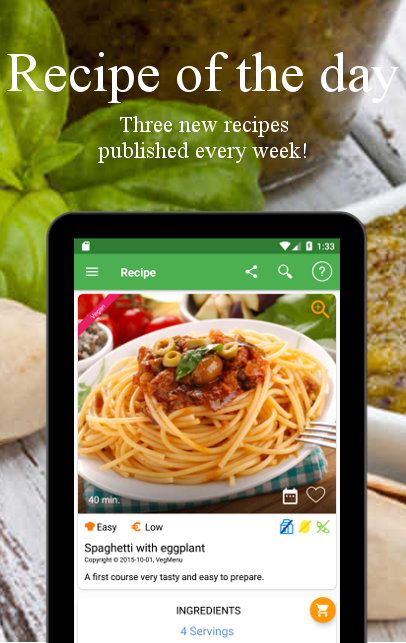 Vegetarian and vegan recipes Screenshot16