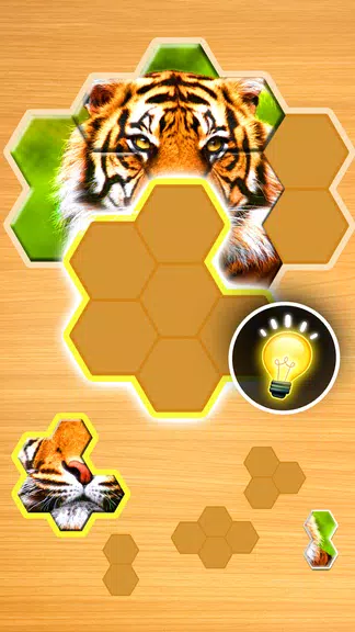 Jigsaw Puzzles Hexa Screenshot2