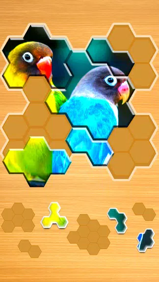 Jigsaw Puzzles Hexa Screenshot1