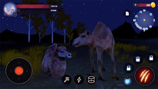 The Camel Screenshot6