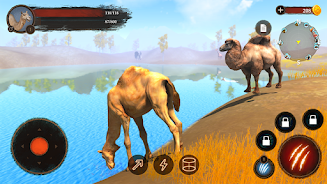 The Camel Screenshot7
