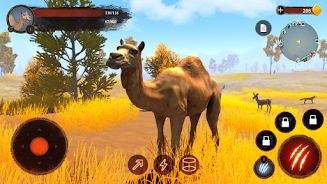 The Camel Screenshot8