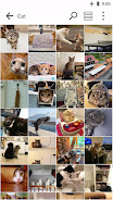 Photo gallery Screenshot3