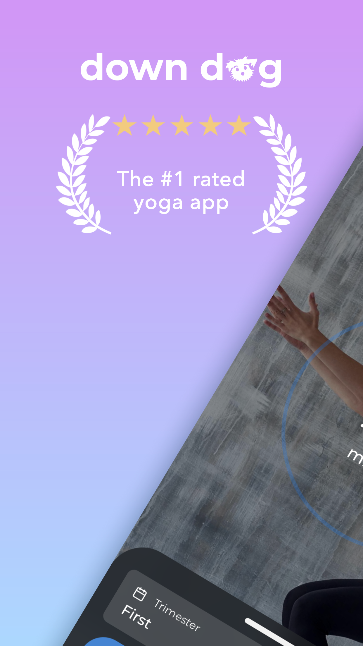Prenatal Yoga Screenshot1