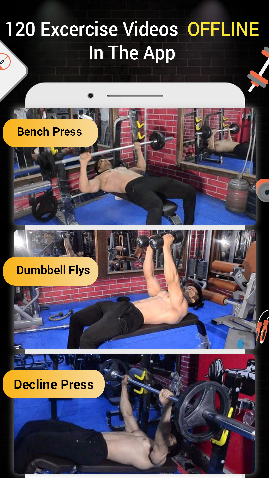 Pro Gym Workout Screenshot4