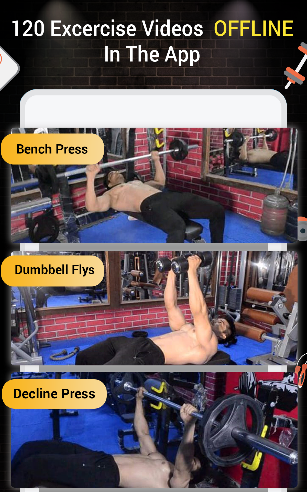 Pro Gym Workout Screenshot12