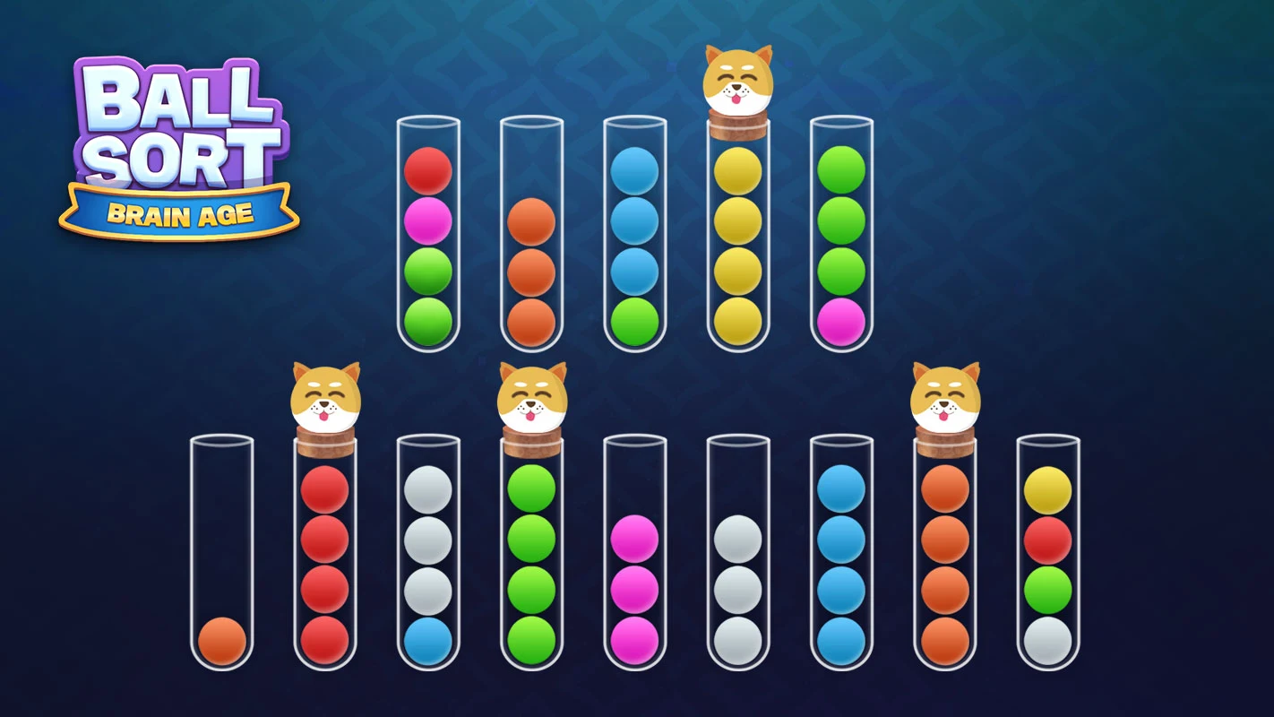 Sort Ball : Brain Age Screenshot1