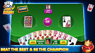 Ultimate Offline Card Games Screenshot8