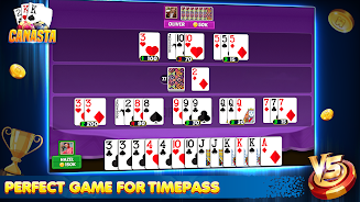 Ultimate Offline Card Games Screenshot15
