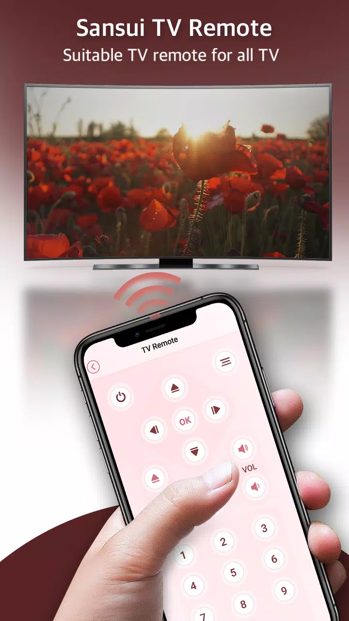 Remote for Sansui TV Screenshot4