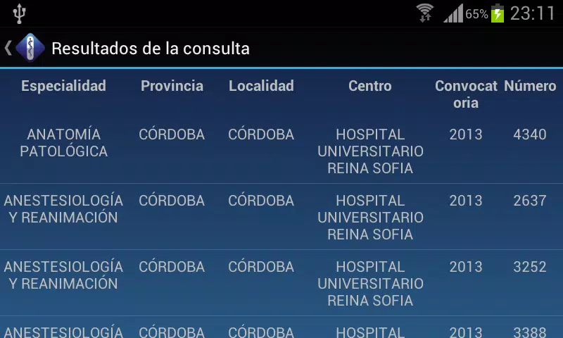 Plaza MIR - Adjudicaciones MIR Screenshot3