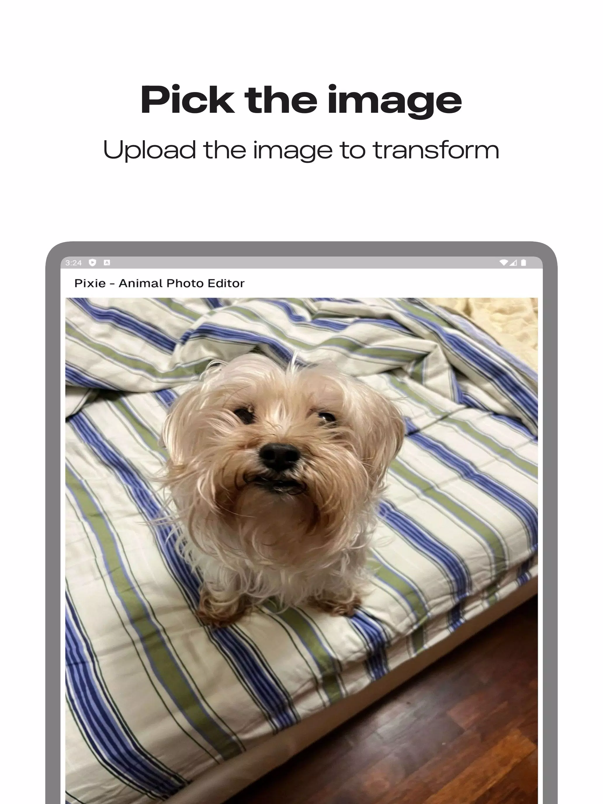 AI Photo Editor - Pixie Screenshot6