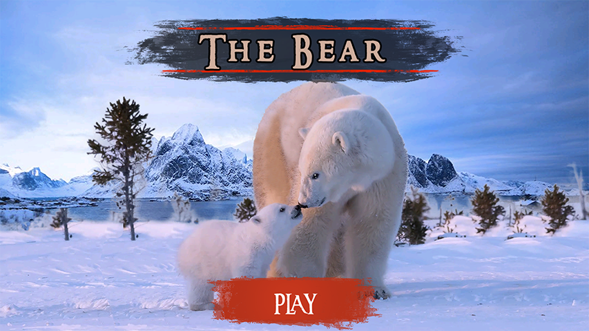 The Bear Screenshot1