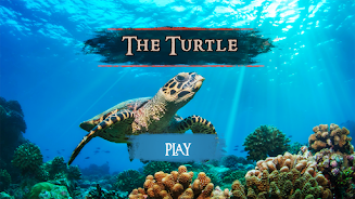 The Turtle Screenshot2