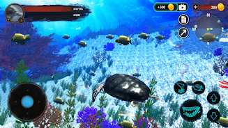 The Turtle Screenshot6
