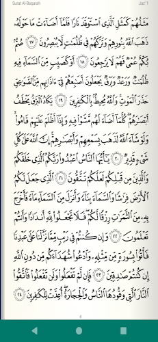 Read Listen Quran  قرآن كريم Screenshot2